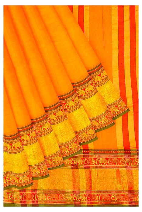 Narayanapet Cotton Big Border - Mango Yellow