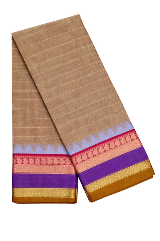 Brown saree with colorful border 